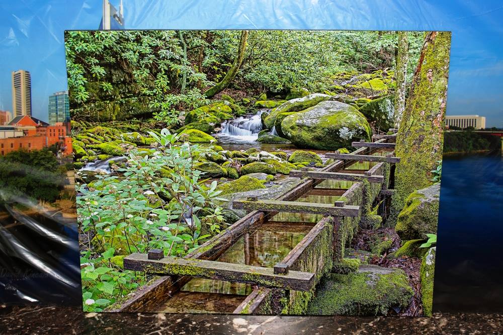 10608543_667349380030506_5091463504020791265_o