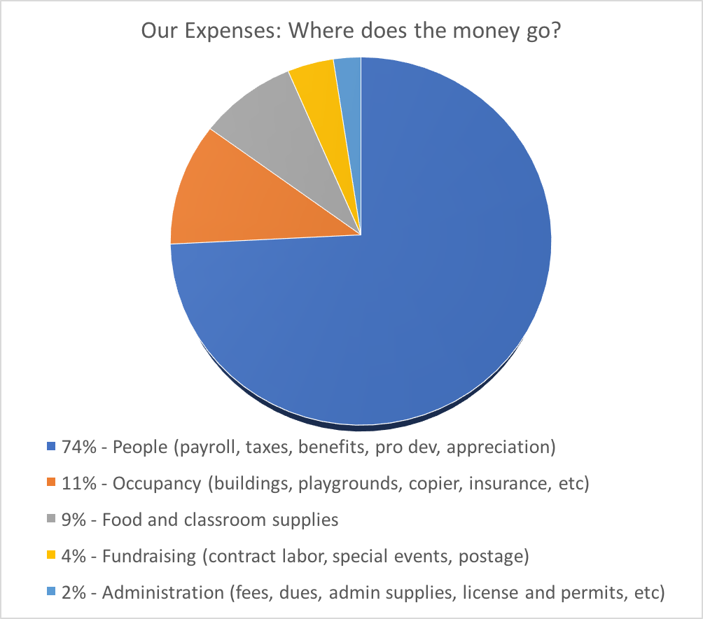 pie chart of monthly expenses
